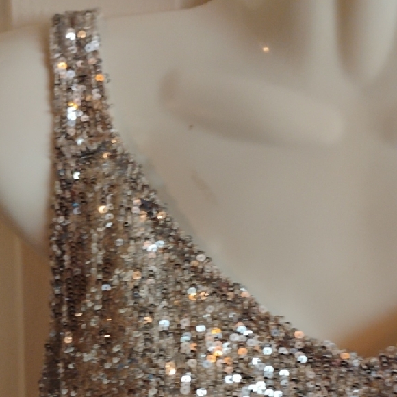 Daytrip Silver Sequin Tank Top - Picture 8 of 15